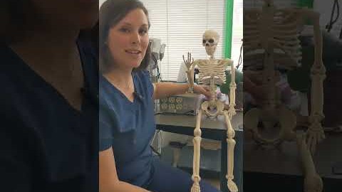 How I support science at Argonne National Laboratory: Clare Shaughnessy