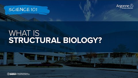 Science 101: What is Structural Biology?